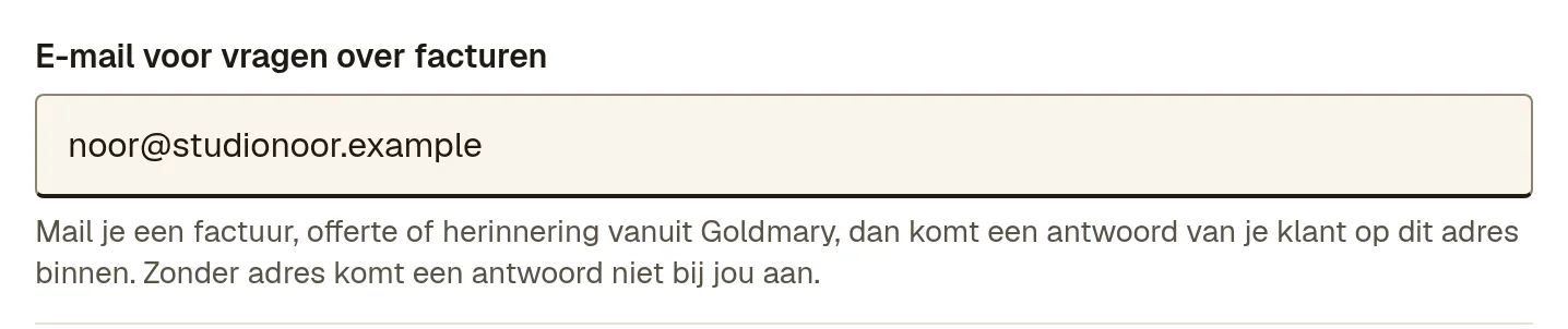 Het veld E-mail voor vragen over facturen in Instellingen, met de uitleg dat een antwoord van je klant anders niet bij jou aankomt.
